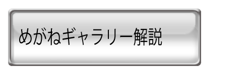 めがねギャラリーの解説